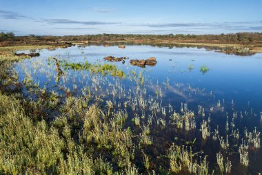 Molano rezervuarındaki manzara. İspanya.