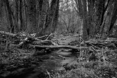 Garganta de Pedro Chate. Jaraiz de la Vera yakınlarındaki manzara. Caceres. Extremadura. İspanya.