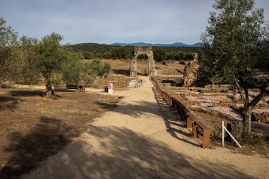 Ancient Roman arch in the ruins of Caparra, surrounded by olive trees and a sunny rural landscape. clipart