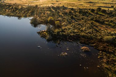 Gün batımında ağaçların arasından süzülen güneş ışığıyla hava sulak arazisi.