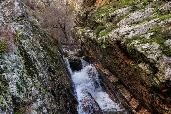 Yosunlu kayalıklar arasında akan dağ deresi.