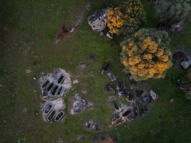 Yeşil bir tarlada taş kesilmiş mezarların ve ağaçların havadan görünüşü.