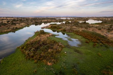 Güneşin doğuşuyla gölcüklü ve dağınık bitki örtülü hava manzarası.