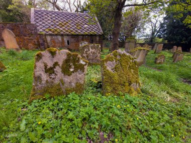 Hamilton ailesinin mezarlarını barındıran bir mozolesi olan eski bir mezarlık. Baron Haugh Doğa Koruma Alanı, RSPB İskoçya Baronu 'nun Haugh doğa koruma alanı, Motherwell, Kuzey Lanarkshire, Scotland.UK. Vahşi yaşam için gerçek bir mücevher. 