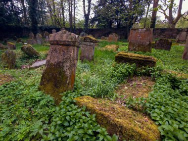 Hamilton ailesinin mezarlarını barındıran bir mozolesi olan eski bir mezarlık. Baron Haugh Doğa Koruma Alanı, RSPB İskoçya Baronu 'nun Haugh doğa koruma alanı, Motherwell, Kuzey Lanarkshire, Scotland.UK. Vahşi yaşam için gerçek bir mücevher. 