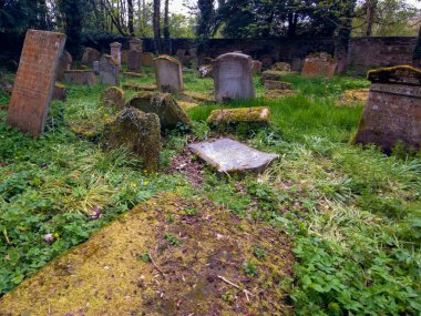 Hamilton ailesinin mezarlarını barındıran bir mozolesi olan eski bir mezarlık. Baron Haugh Doğa Koruma Alanı, RSPB İskoçya Baronu 'nun Haugh doğa koruma alanı, Motherwell, Kuzey Lanarkshire, Scotland.UK. Vahşi yaşam için gerçek bir mücevher. 