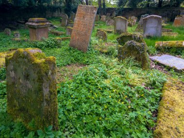 Hamilton ailesinin mezarlarını barındıran bir mozolesi olan eski bir mezarlık. Baron Haugh Doğa Koruma Alanı, RSPB İskoçya Baronu 'nun Haugh doğa koruma alanı, Motherwell, Kuzey Lanarkshire, Scotland.UK. Vahşi yaşam için gerçek bir mücevher. 