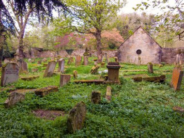 Hamilton ailesinin mezarlarını barındıran bir mozolesi olan eski bir mezarlık. Baron Haugh Doğa Koruma Alanı, RSPB İskoçya Baronu 'nun Haugh doğa koruma alanı, Motherwell, Kuzey Lanarkshire, Scotland.UK. Vahşi yaşam için gerçek bir mücevher. 