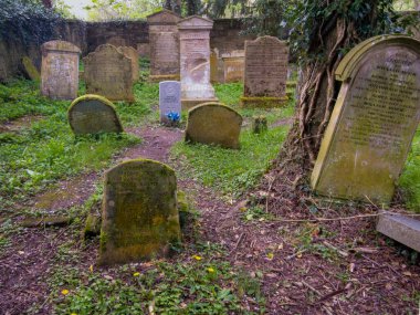 Hamilton ailesinin mezarlarını barındıran bir mozolesi olan eski bir mezarlık. Baron Haugh Doğa Koruma Alanı, RSPB İskoçya Baronu 'nun Haugh doğa koruma alanı, Motherwell, Kuzey Lanarkshire, Scotland.UK. Vahşi yaşam için gerçek bir mücevher. 