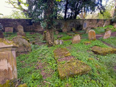 Hamilton ailesinin mezarlarını barındıran bir mozolesi olan eski bir mezarlık. Baron Haugh Doğa Koruma Alanı, RSPB İskoçya Baronu 'nun Haugh doğa koruma alanı, Motherwell, Kuzey Lanarkshire, Scotland.UK. Vahşi yaşam için gerçek bir mücevher. 