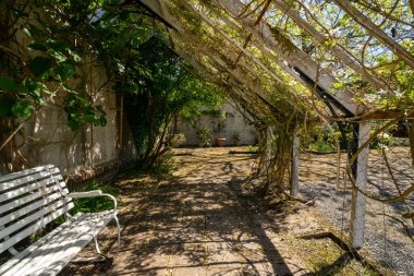 Finlaystone Country Park Malikanesi 'ndeki bahçe. İskoçya. İngiltere. Resmi bahçeler, ormanlık alanlar, etkinlik alanı, oyun alanları, Langbank yakınlarındaki Clyde Nehri 'ne bakan kendi kendine hizmet veren bir yer ve kafe.. 