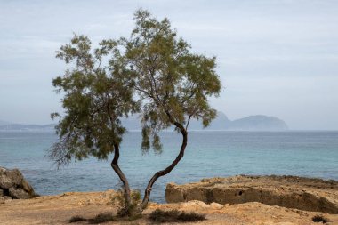 Mayorka adasındaki Akdeniz plajı veya Mallorca, İspanya 'nın bir parçası olan ve Akdeniz' de bulunan Balear Adaları 'nın en büyük plajıdır. Deniz kenarında tatiller, bulutlar, deniz manzarası. Deniz ve ada manzarası.  