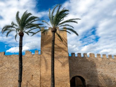 Porta del Moll, Alcudia, Mallorca Adası 'nda bir kasaba. İspanya. Tatil, sıcak tropikal bir ülkede tatil, coşku, rahatlama ve ferahlama hissi. Sahilde ya da sahilde geçirilen zaman. Havanın harika olacağı kesin.. 