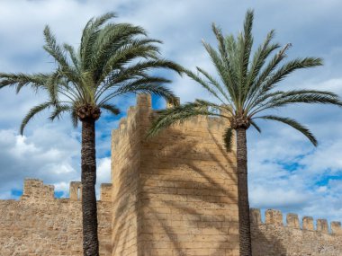 Porta del Moll, Alcudia, Mallorca Adası 'nda bir kasaba. İspanya. Tatil, sıcak tropikal bir ülkede tatil, coşku, rahatlama ve ferahlama hissi. Sahilde ya da sahilde geçirilen zaman. Havanın harika olacağı kesin.. 