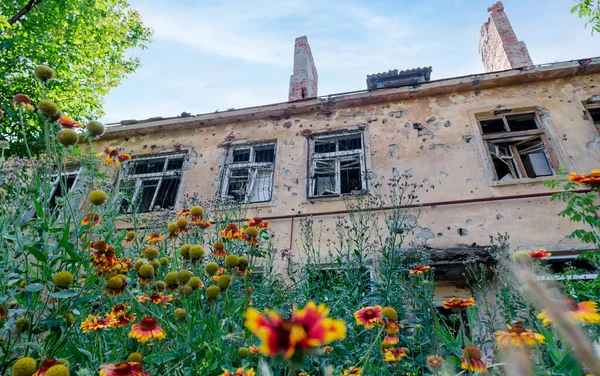 Fresh Natural Flowers Background Destroyed Burnt Houses War Ukraine Russia — Stock fotografie
