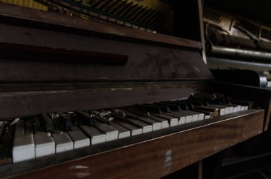 Ukrayna 'da harap olmuş bir okulda.