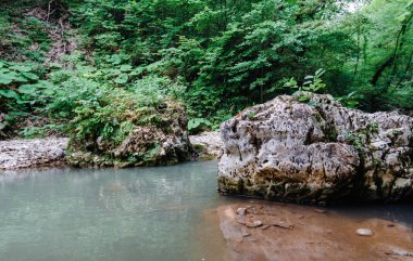 Tayland ormanındaki dağ nehri. İnsansız.