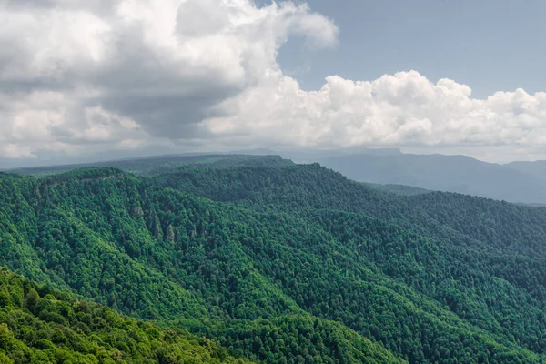 高山和荒野中的野生森林 — 图库照片
