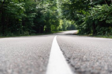 Ormanda yeni bir yol var, arabasız insanlar olmadan.