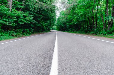 Ormanda yeni bir yol var, arabasız insanlar olmadan.