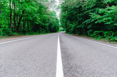 Ormanda yeni bir yol var, arabasız insanlar olmadan.