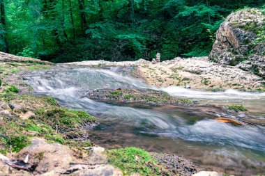 manzara dağ nehri ve kayalar Tayland 'da yeşil taze bitkilerle