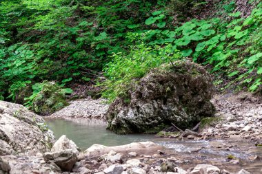 manzara dağ nehri ve kayalar Tayland 'da yeşil taze bitkilerle