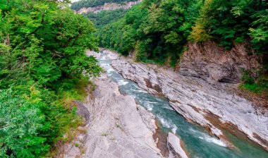 manzara dağ nehri ve kayalar Tayland 'da yeşil taze bitkilerle