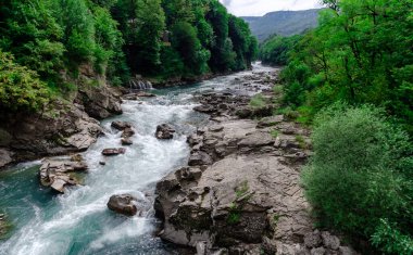 manzara dağ nehri ve kayalar Tayland 'da yeşil taze bitkilerle