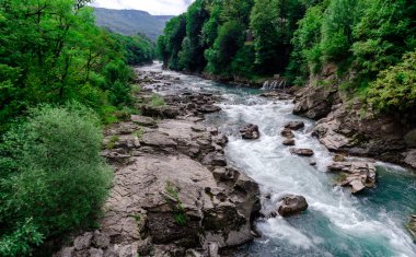 manzara dağ nehri ve kayalar Tayland 'da yeşil taze bitkilerle