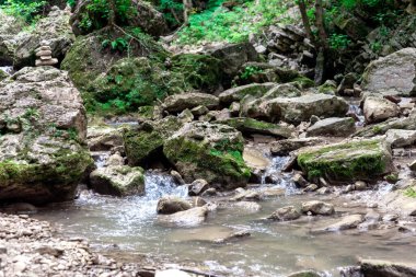 manzara dağ nehri ve kayalar Tayland 'da yeşil taze bitkilerle