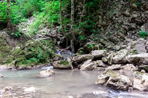 Landschaft Gebirgsfluss Und Felsen Mit Grünen Frischen Pflanzen Thailand — Stockfoto