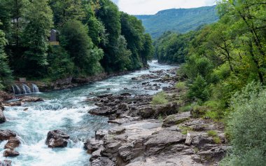 manzara dağ nehri ve kayalar Tayland 'da yeşil taze bitkilerle