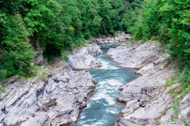 manzara dağ nehri ve kayalar Tayland 'da yeşil taze bitkilerle