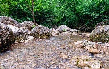 manzara dağ nehri ve kayalar Tayland 'da yeşil taze bitkilerle
