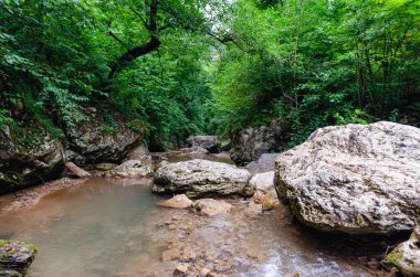 manzara dağ nehri ve kayalar Tayland 'da yeşil taze bitkilerle