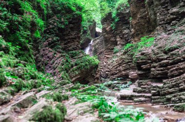 manzara dağ nehri ve kayalar Tayland 'da yeşil taze bitkilerle