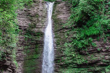 Tayland ormanında insansız bir şelale