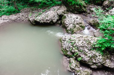 manzara dağ nehri ve kayalar Tayland 'da yeşil taze bitkilerle