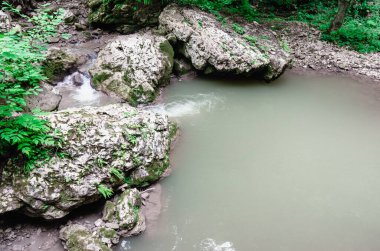 manzara dağ nehri ve kayalar Tayland 'da yeşil taze bitkilerle