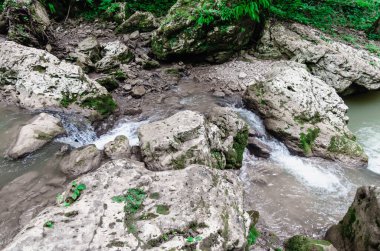 manzara dağ nehri ve kayalar Tayland 'da yeşil taze bitkilerle