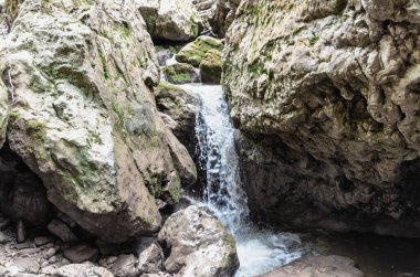 Tayland ormanında insansız bir şelale