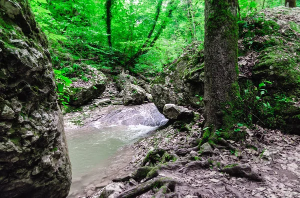 风景秀丽的山川和石南绿树成荫的岩石 — 图库照片