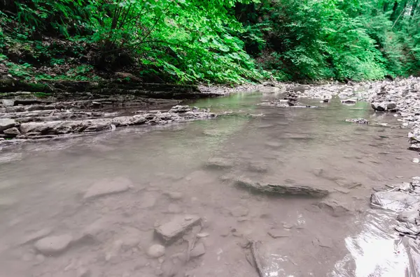 manzara dağ nehri ve kayalar Tayland 'da yeşil taze bitkilerle