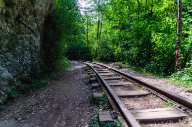 Tayland 'da orman ormanlarında insanlar olmadan demiryolu.