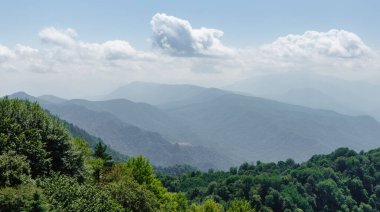 Tayland 'da yüksek dağlar ve vahşi orman