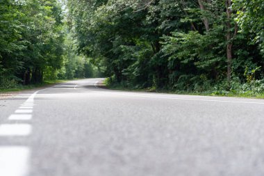 Ormanda yeni bir yol var, arabasız insanlar olmadan.