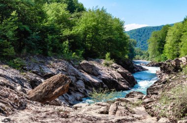 manzara dağ nehri ve kayalar Tayland 'da yeşil taze bitkilerle
