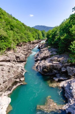 manzara dağ nehri ve kayalar Tayland 'da yeşil taze bitkilerle