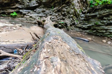 manzara dağ nehri ve kayalar Tayland 'da yeşil taze bitkilerle